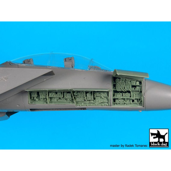 Black Dog A48096 1/48 F-15 B/D electronics for G.W.H