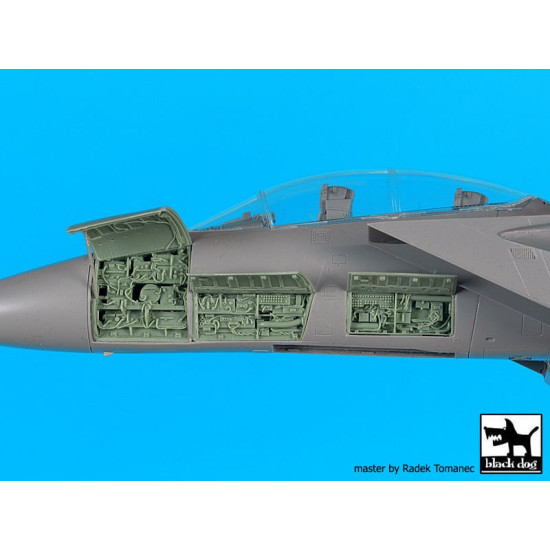 Black Dog A48096 1/48 F-15 B/D electronics for G.W.H