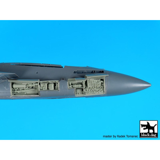 Black Dog A48099 1/48 F-14 D right electronics for AMK