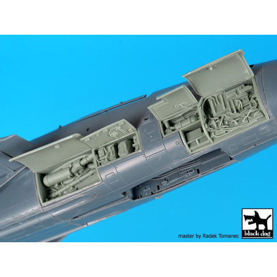 Black Dog A48099 1/48 F-14 D right electronics for AMK