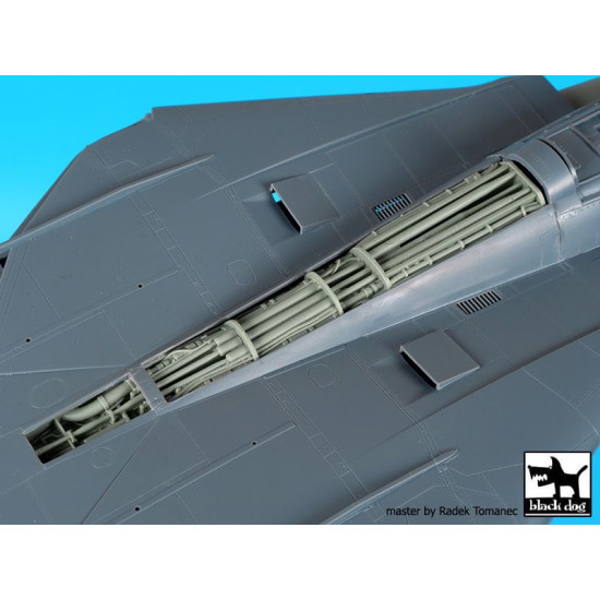 Black Dog A48101 1/48 F-14 D spine electronics for AMK