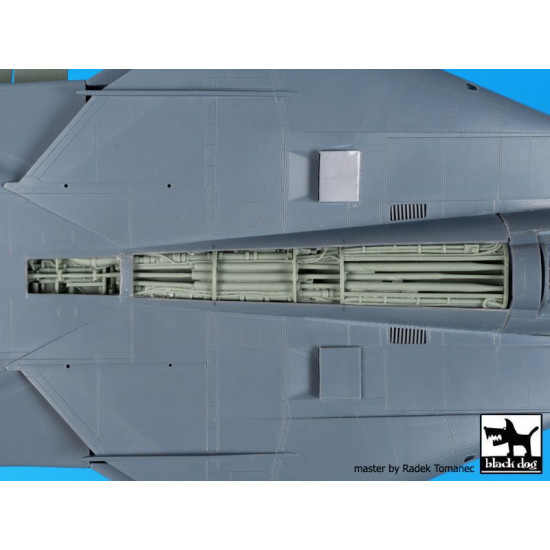 Black Dog A48101 1/48 F-14 D spine electronics for AMK
