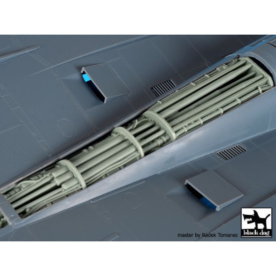 Black Dog A48101 1/48 F-14 D spine electronics for AMK