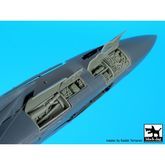 Black Dog A48102 1/48 F-14 D right +left electronics for AMK