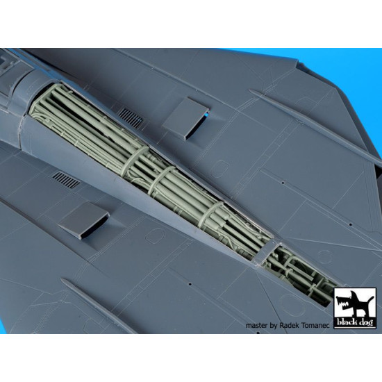 Black Dog A48103 1/48 F-14 D big set for AMK