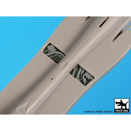 Black Dog A48120 1/48 Sepecat Jaguar big set for Kitty Hawk