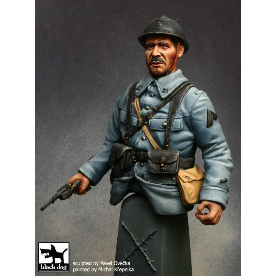 Black Dog B10006 French sergeant Verden 1916