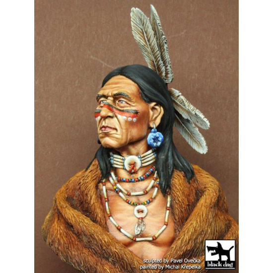 Black Dog B10018 Sioux Lakota