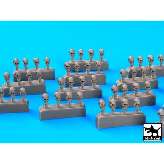 Black Dog D72020 1/72 Human Sculls 56 pcs