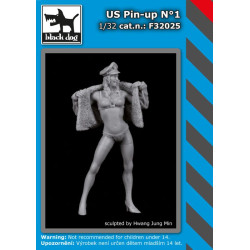 Black Dog F32025 1/32 US Pin Up #1