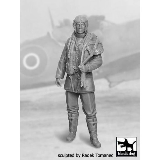 Black Dog F32028 1/32 RAF fighter pilot 1940-1945 #1