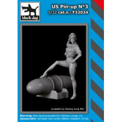 Black Dog F32034 1/32 US Pin up #3