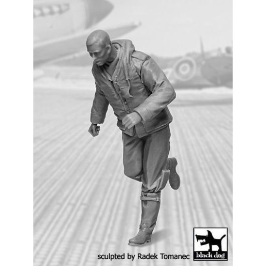 Black Dog F32043 1/32 RAF Fighter pilot #3