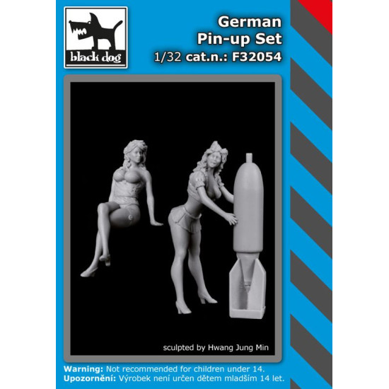 Black Dog F32054 1/32 German Pin set