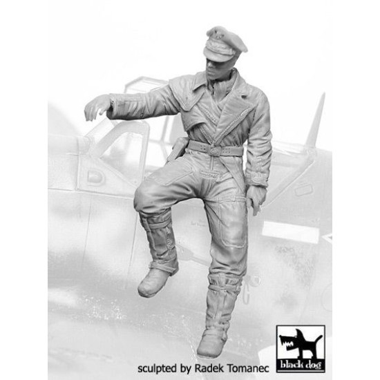 Black Dog F32066 1/32 German Luftwafe pilot #6