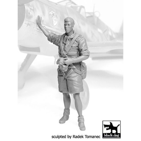 Black Dog F32071 1/32 German Lufttwafe pilot Africa #3