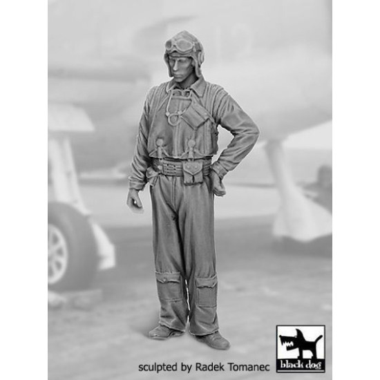 Black Dog F32075 1/32 US NAVY pilot 1940-45 #2