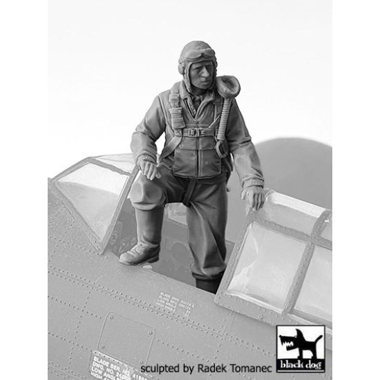 Black Dog F32135 1/32 USAAF Fighter pilot 1940-45 #1