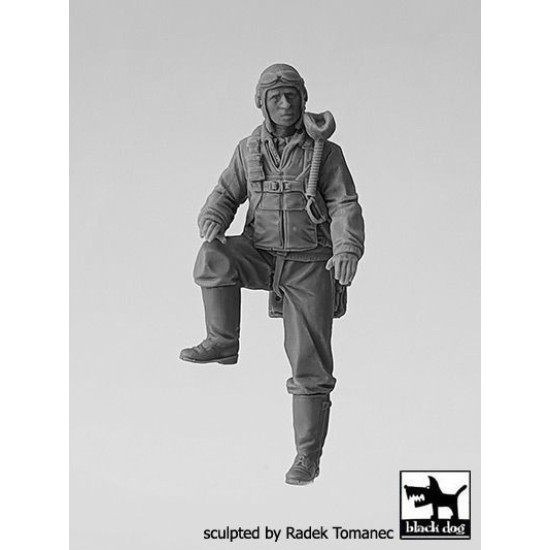 Black Dog F32135 1/32 USAAF Fighter pilot 1940-45 #1