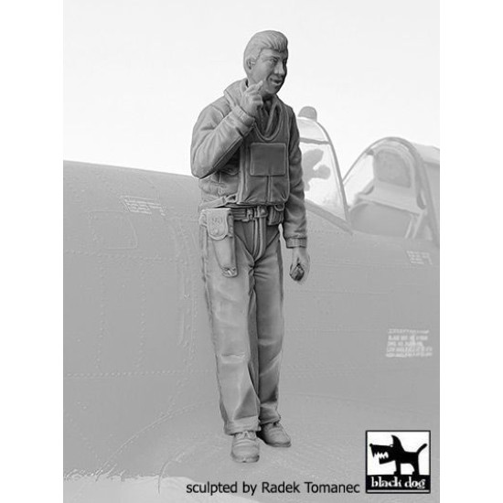 Black Dog F32136 1/32 USAAF Fighter pilot 1940-45 #2