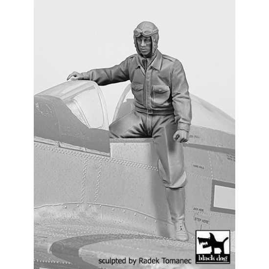 Black Dog F32143 1/32 USAAF Fighter pilot 1940-45 #4