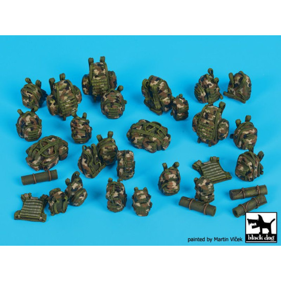 Black Dog T35173 1/35 French equipment accessories set