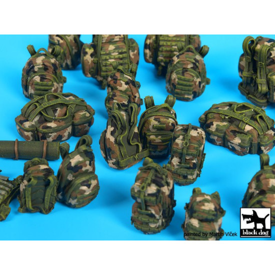 Black Dog T35173 1/35 French equipment accessories set