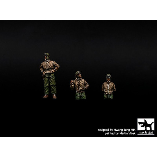 Black Dog T72138 1/72 US WW II tank crew