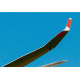 Brengun BRL48174 1/48 DG-1000 glider- 20m Winglets resin set for BRENGUN