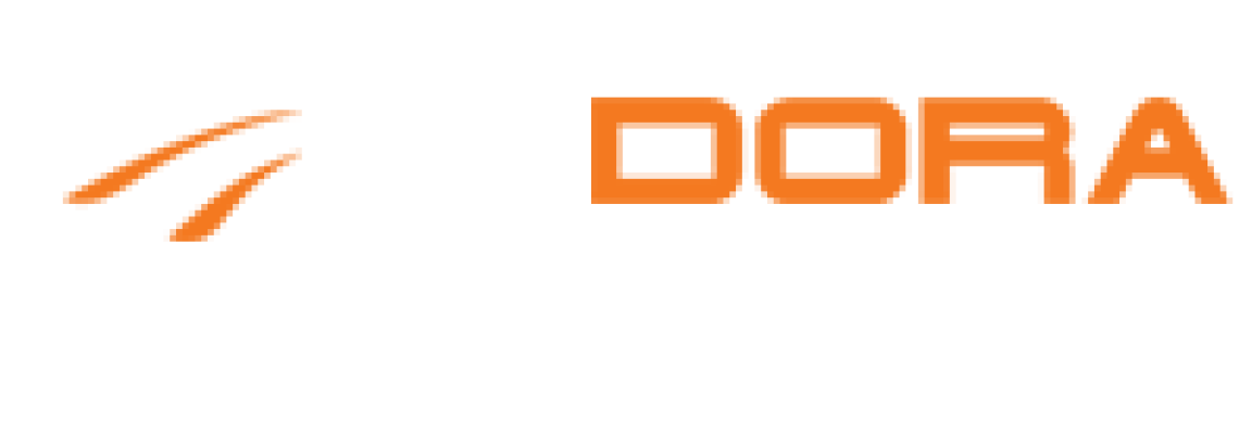 Dora Wings Newest October 2021