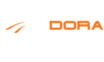 Dora Wings Newest October 2021