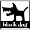 Black Dog