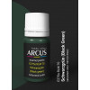 Arcus 275 Enamel Paint Luftwaffe Rlm 70 Schwarzgrun Black Green Saturated Color