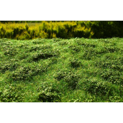 Model Scene F502 Meadow With Low Bushes Early Summer 18/28 Cm Accessories For Diorama