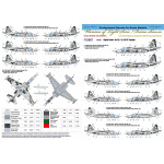Foxbot 48-064 - 1/48 Digital Rooks Sukhoi Su-25 decal for aircraft model