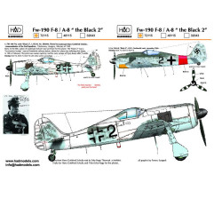 Had Models 72115 1/72 Decal For Fw-190 F-8 / A-8 Luftwaffe Black 2