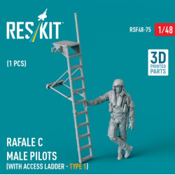 Reskit Rsf48-0075 1/48 Rafale C Male Pilot With Access Ladder Type1 1pcs 3d Printed