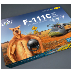 Reskit Rsk32-0002 1/32 F-111c Pig Escape Pod Crew Module Royal Australian Air Force Resin Model Kit