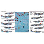 DECAL FOR SOVIET INTERCEPTOR AND FIGHTER AIRCRAFT YAK-9 1/72 scale Foxbot 72-001