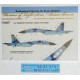 DECALS SUKHOI SU-27 WITH NAME 1/72 SCALE Foxbot 72-037