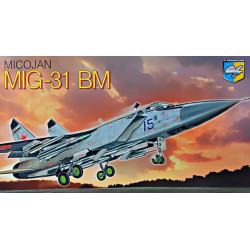 MIG-31 BM