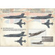 Print Scale 72-401- 1/72 sacle - Hawker Siddeley Buccaneer, Decal for aircraft