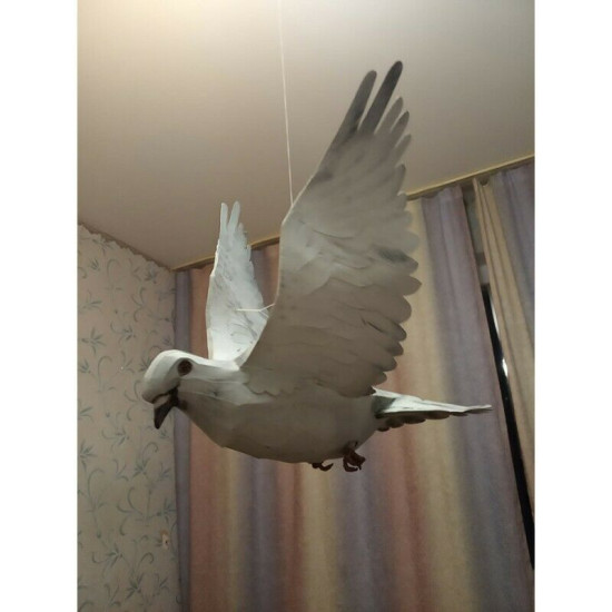 Paper Model Kit Soaring dove 1/1 Orel 304 Realistic copy of a white dove