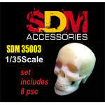 SDM 35003 - 1/35 - Human skull (8 pcs). Acccessories for diorama