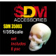 SDM 35003 - 1/35 - Human skull (8 pcs). Acccessories for diorama