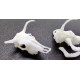 SDM 35007 - 1/35 - Cow skull 4 pcs. Acccessories for diorama