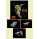 SDM 35007 - 1/35 - Cow skull 4 pcs. Acccessories for diorama