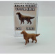 Mini Tank 24803 - 1/35 - Dog Setter Jack. Painted figure, painted animal