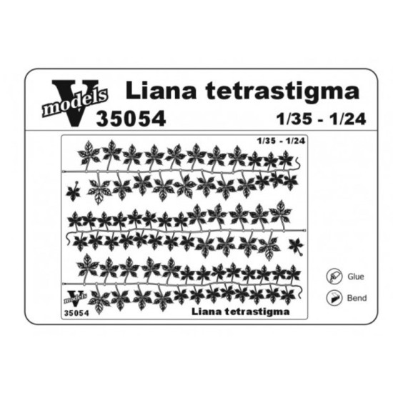 Vmodels 35054 - 1/35 - Photo-etched Liana tetrastigma kit, 3 psc