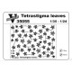 Vmodels 35055 - 1/35 - Photo-etched for Tenrastigma leaves scale kit